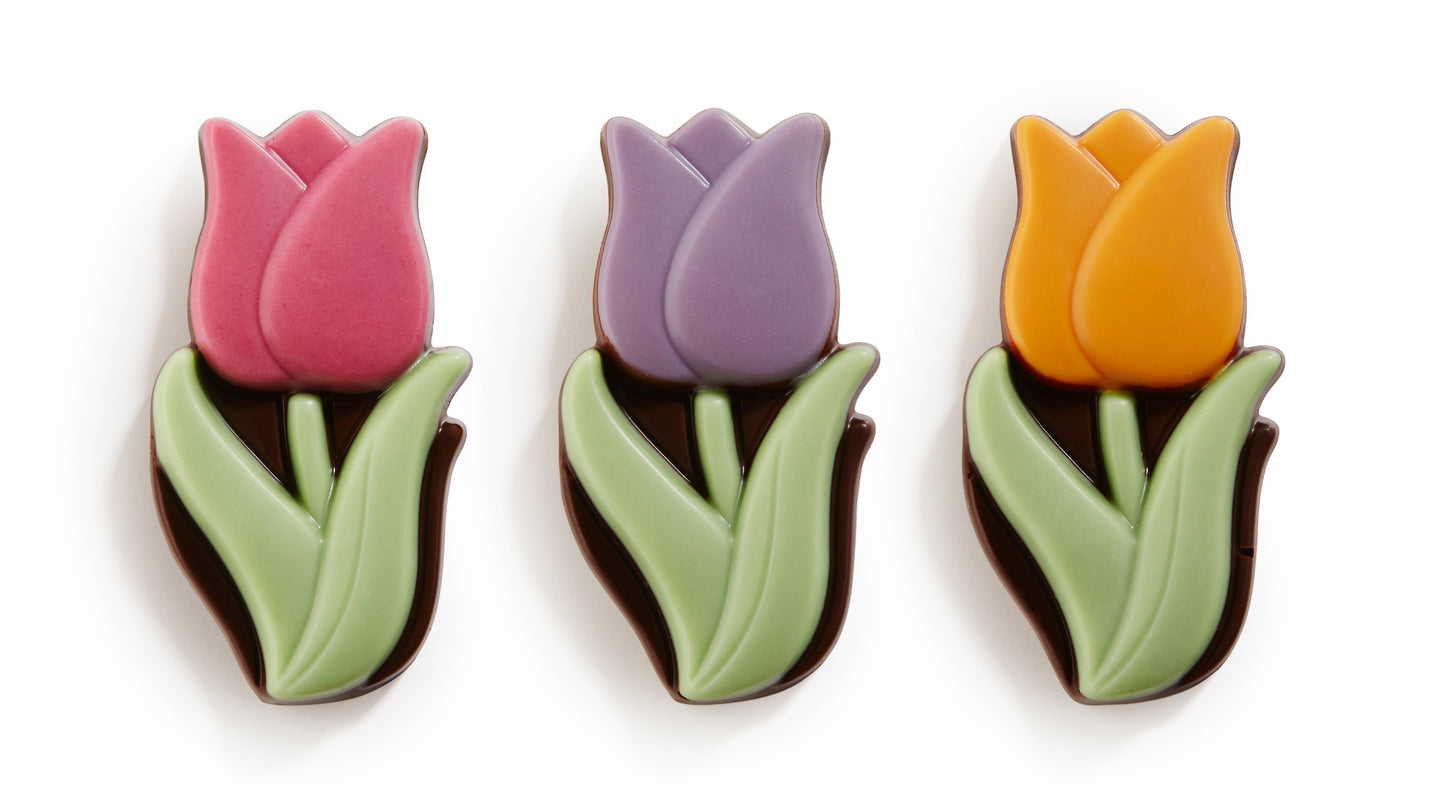 Tulips