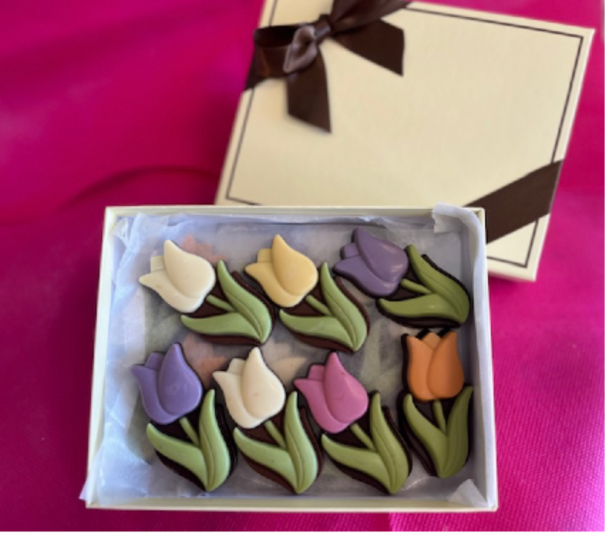 Spring Tulips